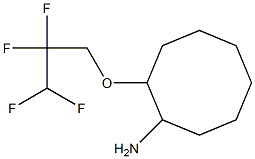 2-(2,2,3,3-tetrafluoropropoxy)cyclooctan-1-amine Struktur