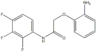 2-(2-aminophenoxy)-N-(2,3,4-trifluorophenyl)acetamide Struktur