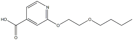 2-(2-butoxyethoxy)pyridine-4-carboxylic acid Struktur