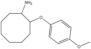 2-(4-methoxyphenoxy)cyclooctanamine Struktur