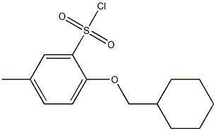 2-(cyclohexylmethoxy)-5-methylbenzenesulfonyl chloride Struktur