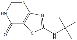 2-(tert-butylamino)[1,3]thiazolo[4,5-d]pyrimidin-7(6H)-one Struktur