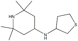 2,2,6,6-tetramethyl-N-(thiolan-3-yl)piperidin-4-amine Struktur