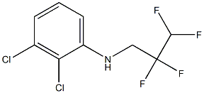 2,3-dichloro-N-(2,2,3,3-tetrafluoropropyl)aniline Struktur