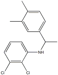 2,3-dichloro-N-[1-(3,4-dimethylphenyl)ethyl]aniline Struktur