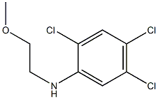 2,4,5-trichloro-N-(2-methoxyethyl)aniline Struktur