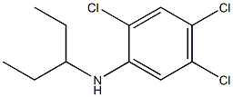 2,4,5-trichloro-N-(pentan-3-yl)aniline Struktur