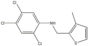 2,4,5-trichloro-N-[(3-methylthiophen-2-yl)methyl]aniline Struktur