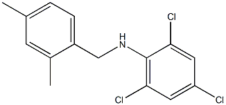 2,4,6-trichloro-N-[(2,4-dimethylphenyl)methyl]aniline Struktur