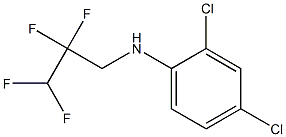 2,4-dichloro-N-(2,2,3,3-tetrafluoropropyl)aniline Struktur