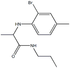 2-[(2-bromo-4-methylphenyl)amino]-N-propylpropanamide Struktur