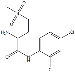 2-amino-N-(2,4-dichlorophenyl)-4-methanesulfonylbutanamide Struktur