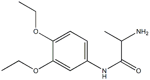 2-amino-N-(3,4-diethoxyphenyl)propanamide Struktur