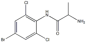 2-amino-N-(4-bromo-2,6-dichlorophenyl)propanamide Struktur