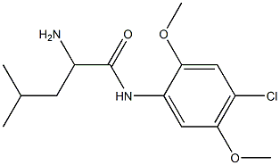 2-amino-N-(4-chloro-2,5-dimethoxyphenyl)-4-methylpentanamide Struktur