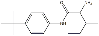 2-amino-N-(4-tert-butylphenyl)-3-methylpentanamide Struktur