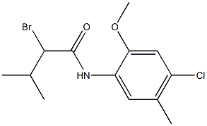 2-bromo-N-(4-chloro-2-methoxy-5-methylphenyl)-3-methylbutanamide Struktur