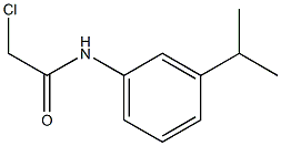 2-chloro-N-[3-(propan-2-yl)phenyl]acetamide Struktur