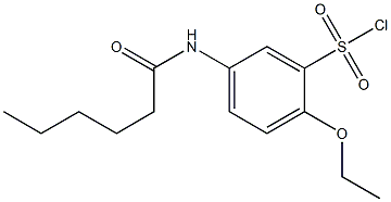 2-ethoxy-5-hexanamidobenzene-1-sulfonyl chloride Struktur