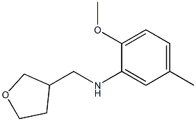 2-methoxy-5-methyl-N-(oxolan-3-ylmethyl)aniline Struktur