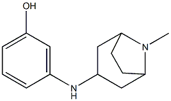 3-({8-methyl-8-azabicyclo[3.2.1]octan-3-yl}amino)phenol Struktur