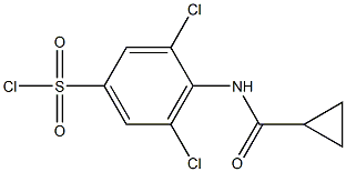 3,5-dichloro-4-cyclopropaneamidobenzene-1-sulfonyl chloride Struktur