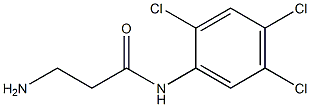 3-amino-N-(2,4,5-trichlorophenyl)propanamide Struktur