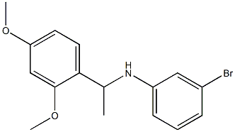 3-bromo-N-[1-(2,4-dimethoxyphenyl)ethyl]aniline Struktur