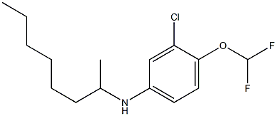 3-chloro-4-(difluoromethoxy)-N-(octan-2-yl)aniline Struktur