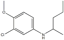 3-chloro-4-methoxy-N-(pentan-2-yl)aniline Struktur