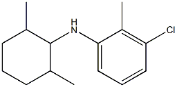 3-chloro-N-(2,6-dimethylcyclohexyl)-2-methylaniline Struktur