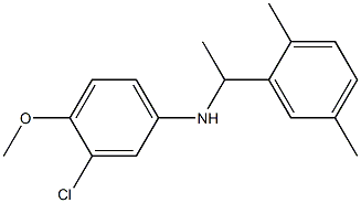 3-chloro-N-[1-(2,5-dimethylphenyl)ethyl]-4-methoxyaniline Struktur