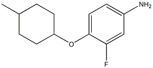 3-fluoro-4-[(4-methylcyclohexyl)oxy]aniline Struktur