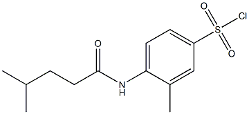 3-methyl-4-(4-methylpentanamido)benzene-1-sulfonyl chloride Struktur