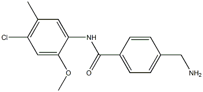 4-(aminomethyl)-N-(4-chloro-2-methoxy-5-methylphenyl)benzamide Struktur