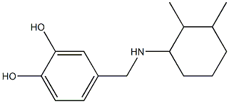 4-{[(2,3-dimethylcyclohexyl)amino]methyl}benzene-1,2-diol Struktur