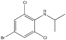 4-bromo-2,6-dichloro-N-(propan-2-yl)aniline Struktur