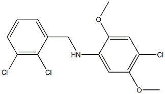 4-chloro-N-[(2,3-dichlorophenyl)methyl]-2,5-dimethoxyaniline Struktur