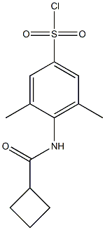 4-cyclobutaneamido-3,5-dimethylbenzene-1-sulfonyl chloride Struktur