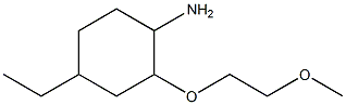 4-ethyl-2-(2-methoxyethoxy)cyclohexan-1-amine Struktur