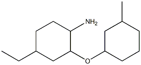 4-ethyl-2-[(3-methylcyclohexyl)oxy]cyclohexan-1-amine Struktur