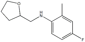 4-fluoro-2-methyl-N-(oxolan-2-ylmethyl)aniline Struktur