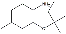 4-methyl-2-[(2-methylbutan-2-yl)oxy]cyclohexan-1-amine Struktur