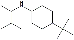 4-tert-butyl-N-(3-methylbutan-2-yl)cyclohexan-1-amine Struktur