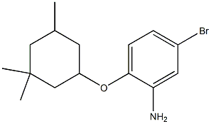 5-bromo-2-[(3,3,5-trimethylcyclohexyl)oxy]aniline Struktur