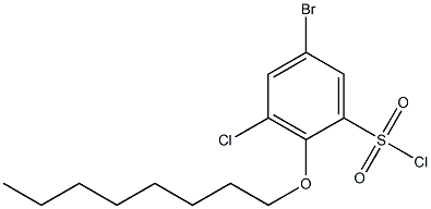 5-bromo-3-chloro-2-(octyloxy)benzene-1-sulfonyl chloride Struktur