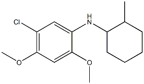 5-chloro-2,4-dimethoxy-N-(2-methylcyclohexyl)aniline Struktur