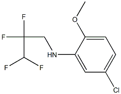 5-chloro-2-methoxy-N-(2,2,3,3-tetrafluoropropyl)aniline Struktur