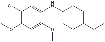 5-chloro-N-(4-ethylcyclohexyl)-2,4-dimethoxyaniline Struktur