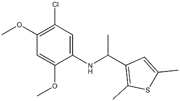 5-chloro-N-[1-(2,5-dimethylthiophen-3-yl)ethyl]-2,4-dimethoxyaniline Struktur